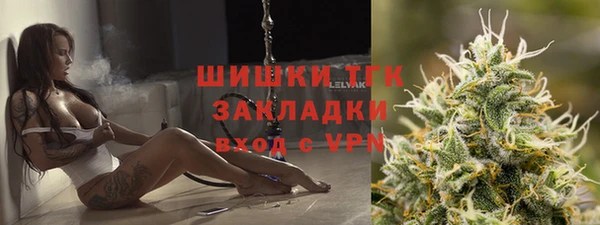 амф Новозыбков