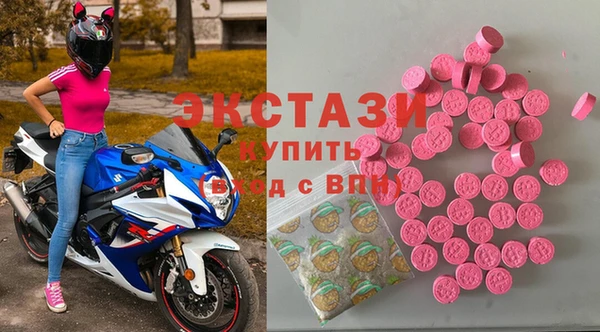 амф Новозыбков