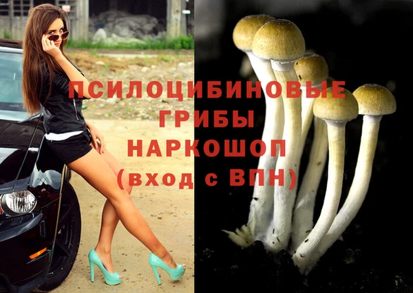 амф Новозыбков
