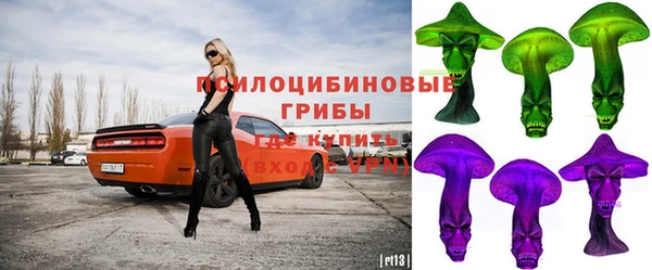 амф Новозыбков