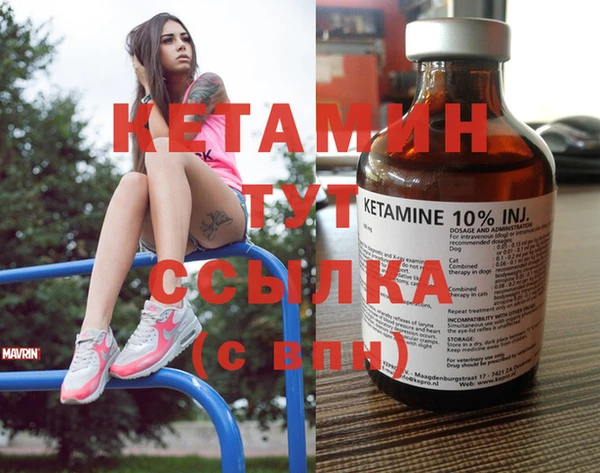 амф Новозыбков