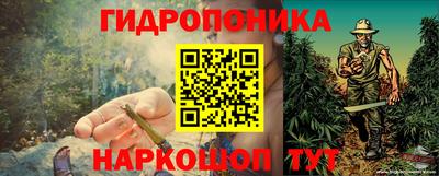 стаф Жуковский